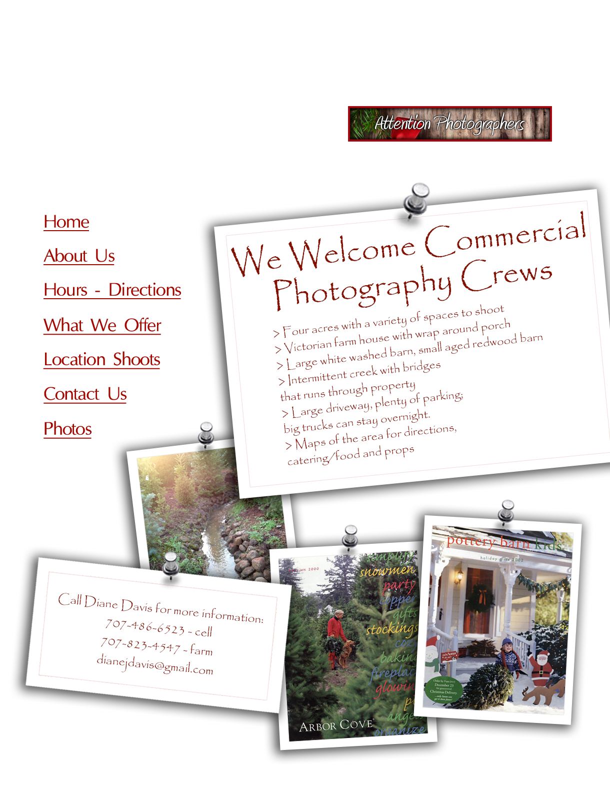 Grandma's Christmas Trees Sebastopol, CA [photo location]