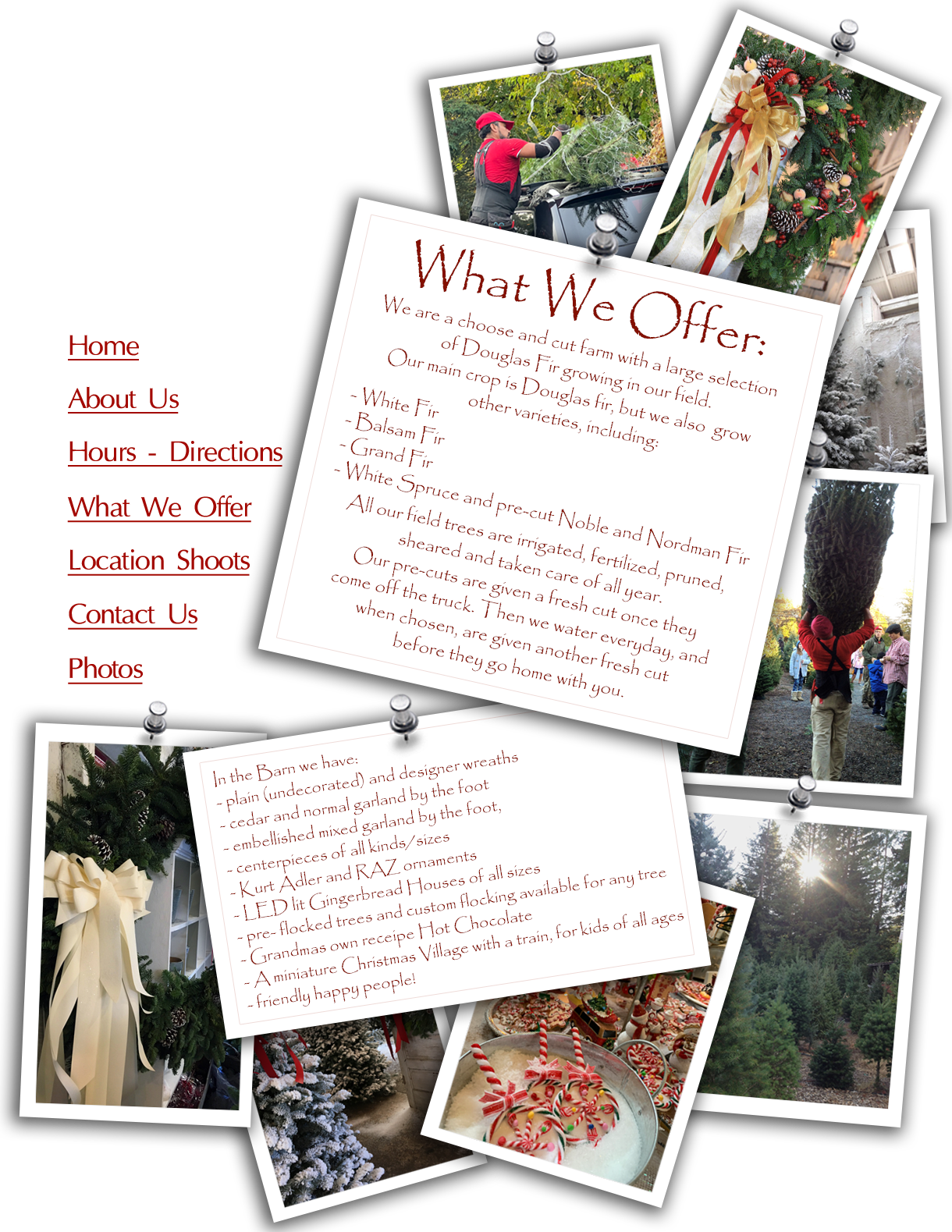 Grandma's Christmas Trees Sebastopol, CA [we offer]